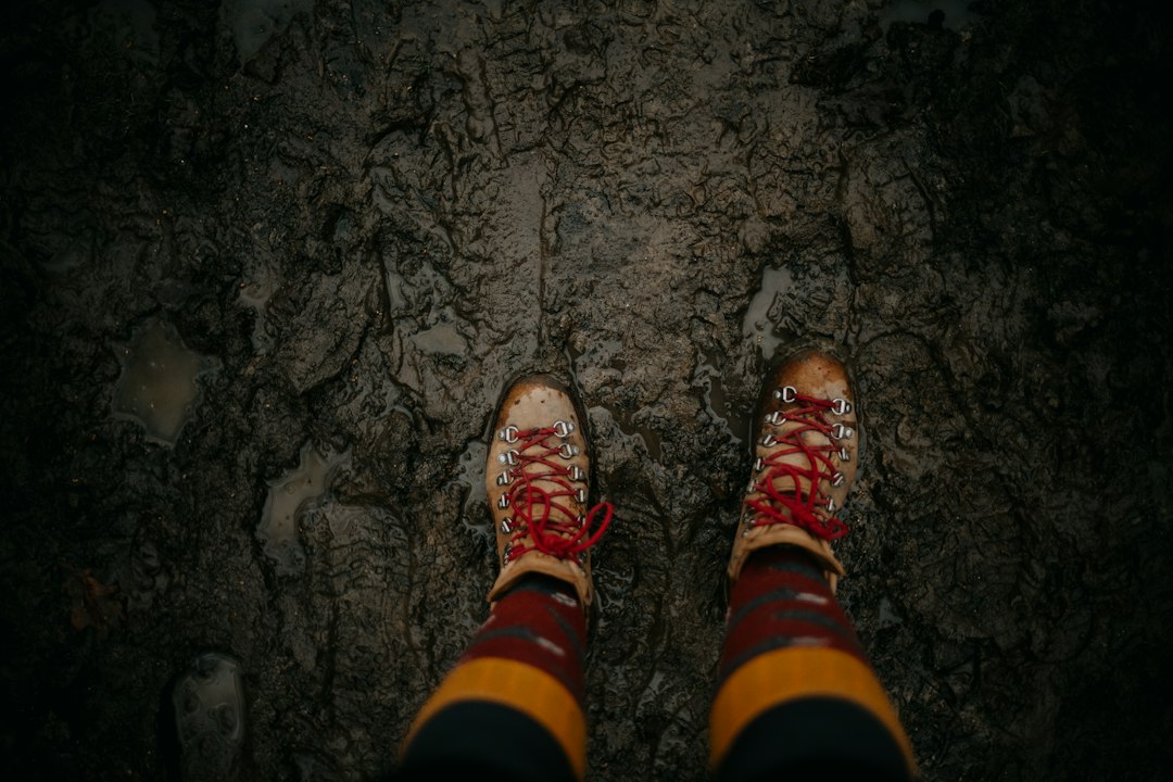 photo 1641044609663 d5598d845393cropentropycstinysrgbfitmaxfmjpgixidM3wxNDA1NTd8MHwxfHNlYXJjaHwzfHx0cmVra2luZyUyMGFkaWRhcyUyMGNvbWJhdCUyMGJvb3RzfGVufDF8MHx8fDE3NTY1NjU2ODV8MAixlibrb 4.1.0q80w1080 1